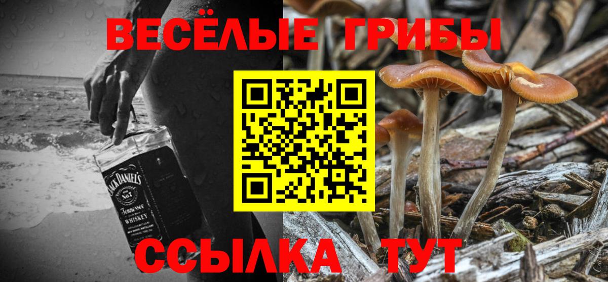 Галлюциногенные грибы ЛСД Сибай
