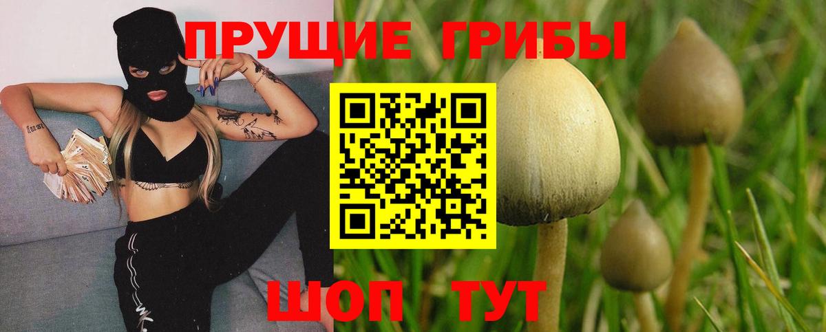 Сибай  Псилоцибиновые грибы Psilocybe  Вход с VPN  Галлюциногенные грибы MAGIC MUSHROOMS 